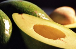 avocado-recept-superfood-tips